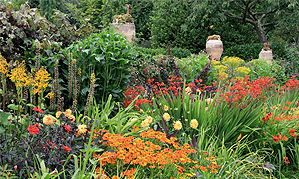 gardening