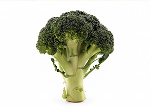 Broccoli