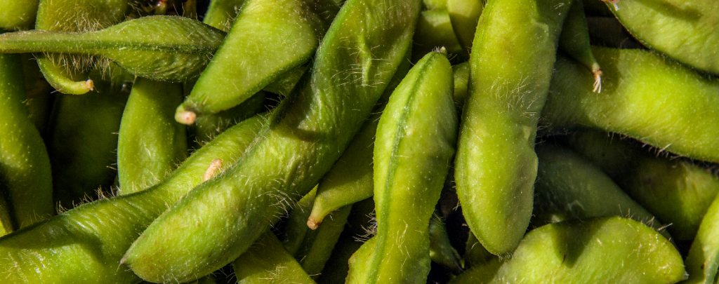Edamame beans