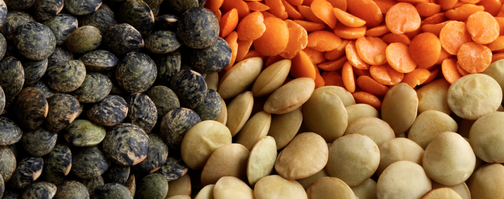 Lentils