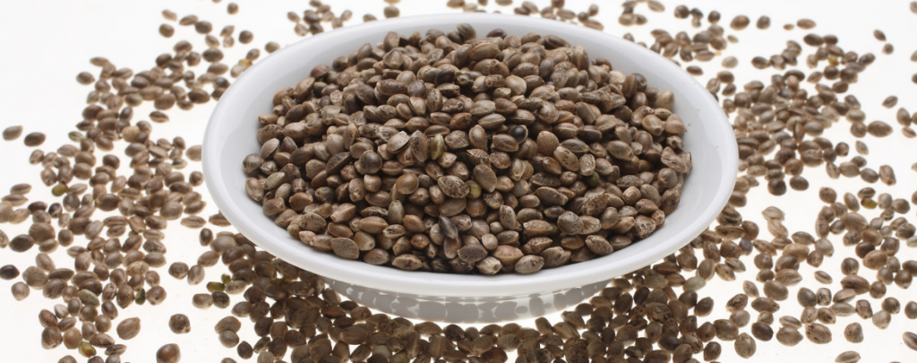 Hemp seeds