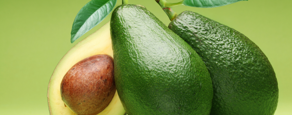 Avocado