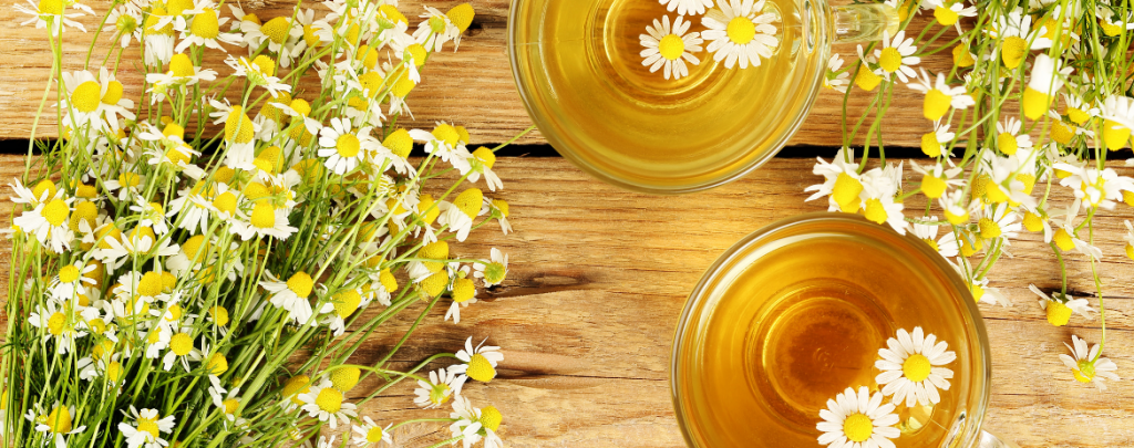 Chamomile Tea