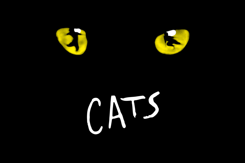 Cats poster