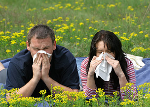 Rainham’s tip of the week-Hayfever?