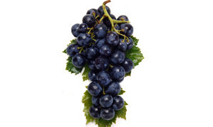 Resveratrol-What it can do for You!