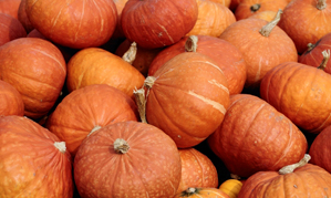 Pumpkin Seeds-Full of Health Benefits