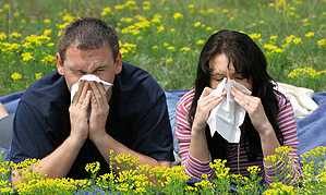 This week’s tip is all about hay fever.