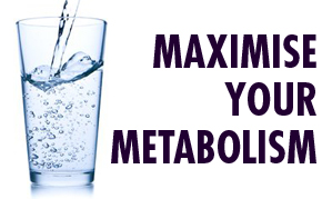 Maximise your metabolism
