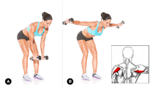 Exercise of the Month – Rear Delt Fly