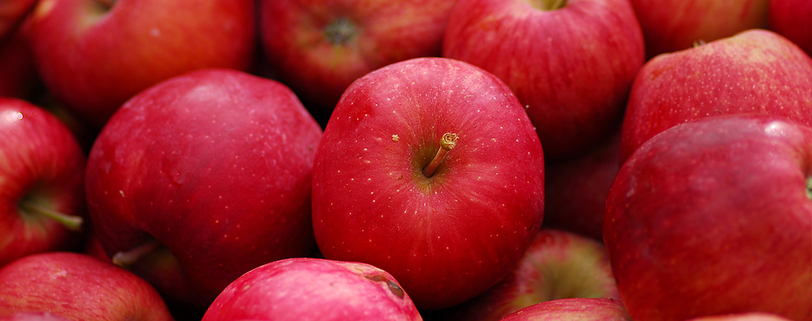 Is There Any Truth To “An Apple A Day?”