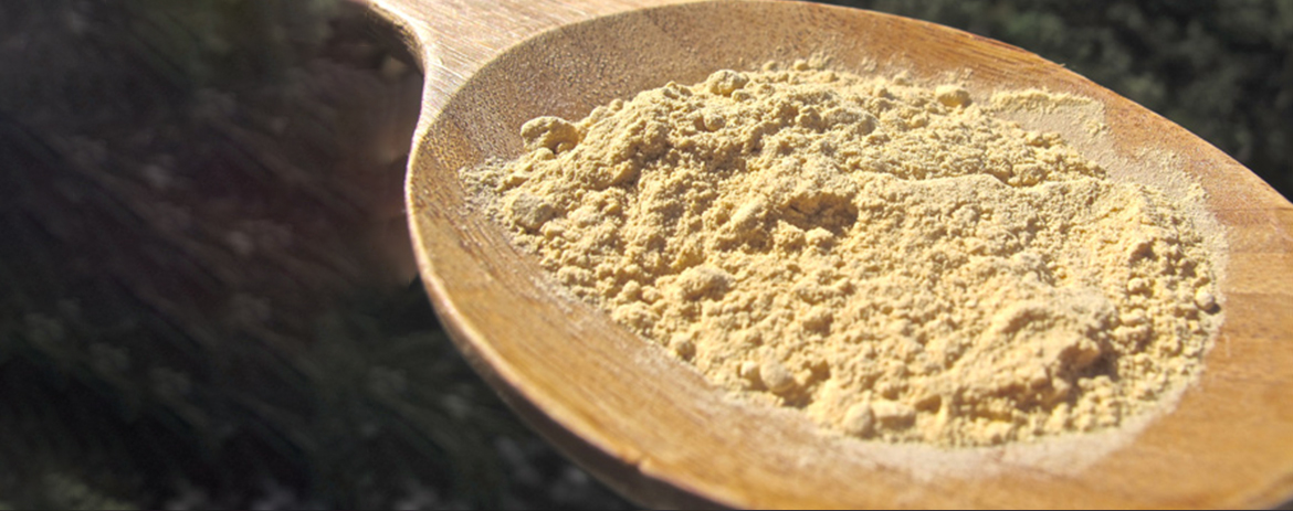Superfood of the Month: Maca Root Powder