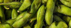 edamame-vegan-protein